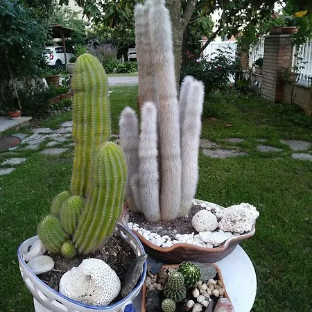 Country house La Serra *