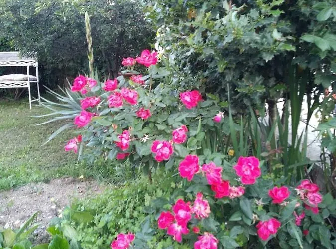 La Serra בית כפרי