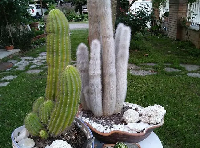 Lantställe La Serra *