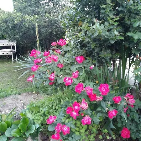 La Serra Country house